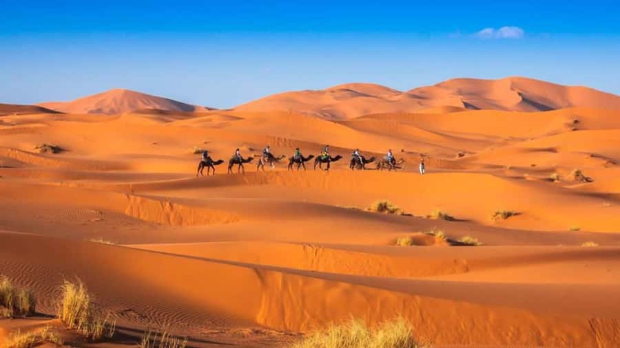From Fes: 2-Day Merzouga Desert Trip w/Luxury Tent & Dinner - A luxury tent, dinner, music, and stars