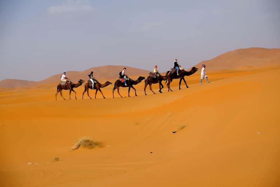 From Fes: 2-Day Merzouga Desert Trip w/Luxury Tent & Dinner - The return journey and possible Marrakech continuation