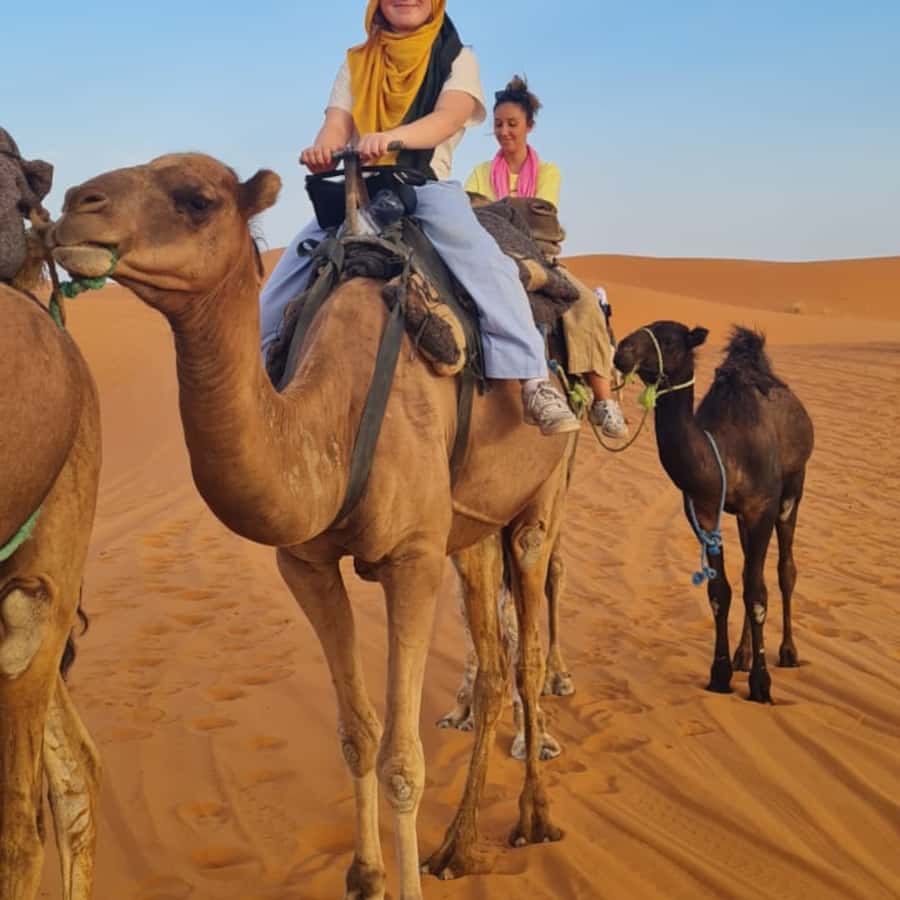 From Fes: 2 Day Round Trip Via Merzouga Desert & Camel Trek - Fes to Ifrane: the first change of scenery