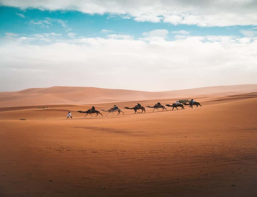 From Fes: 3-Day 2-Night Desert Tour to Marrakech - Key points at a glance