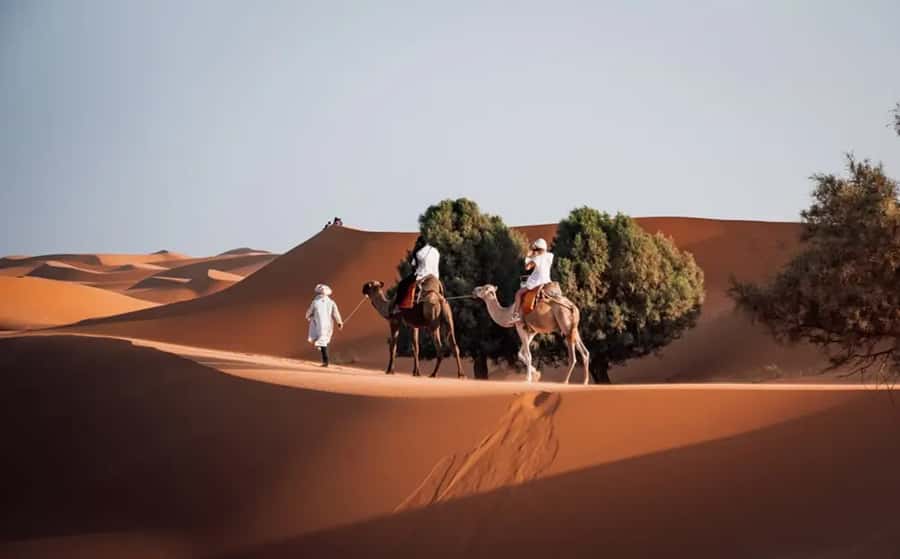 From Fes: 3-Day Luxury Desert Tour to Marrakech via Merzouga - Sleeping in Merzouga, standard or luxury