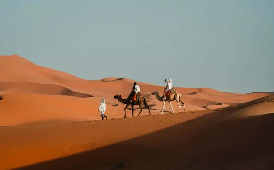 From Fes: 3-Day Luxury Desert Tour to Marrakech via Merzouga - What the guides add to the experience