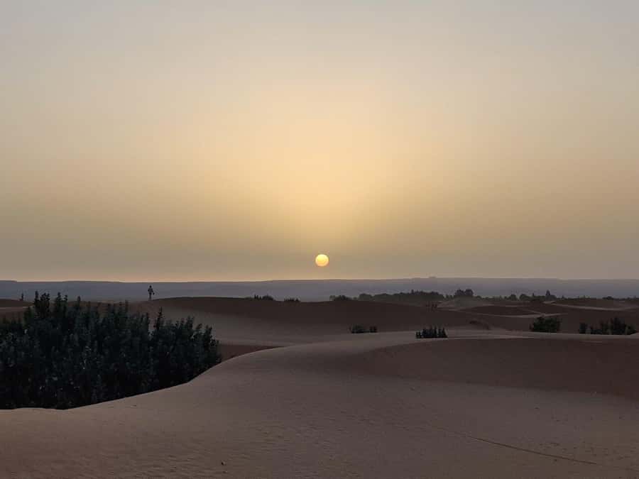From Fes: 3-Day Luxury Desert Tour to Marrakech via Merzouga - Food, comfort, and practical costs
