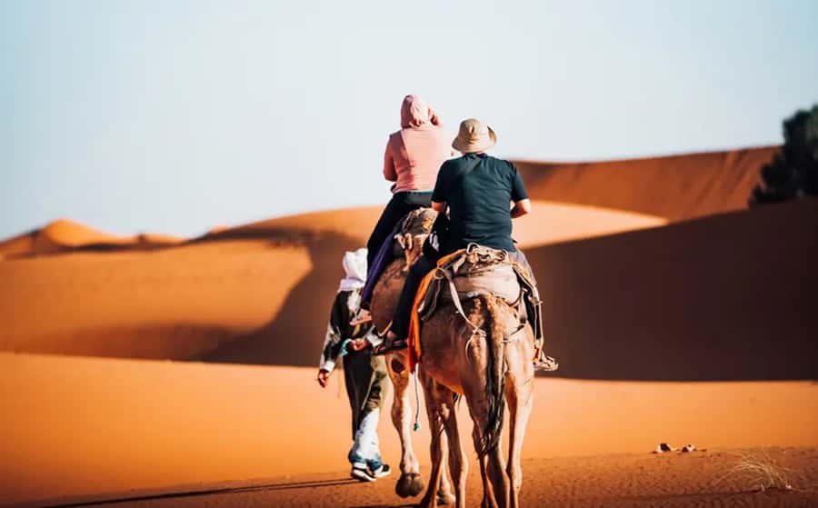 From Fes: 3-Day Luxury Desert Tour to Marrakech via Merzouga - Day 1: Ifrane, cedar forest, and the Ziz Valley