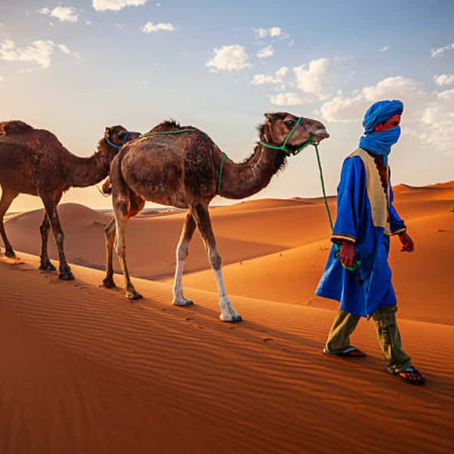 From Fes: 3 Day Magical Desert Camel Trek To Marrakech - Day two: Rissani and the Todra Gorge