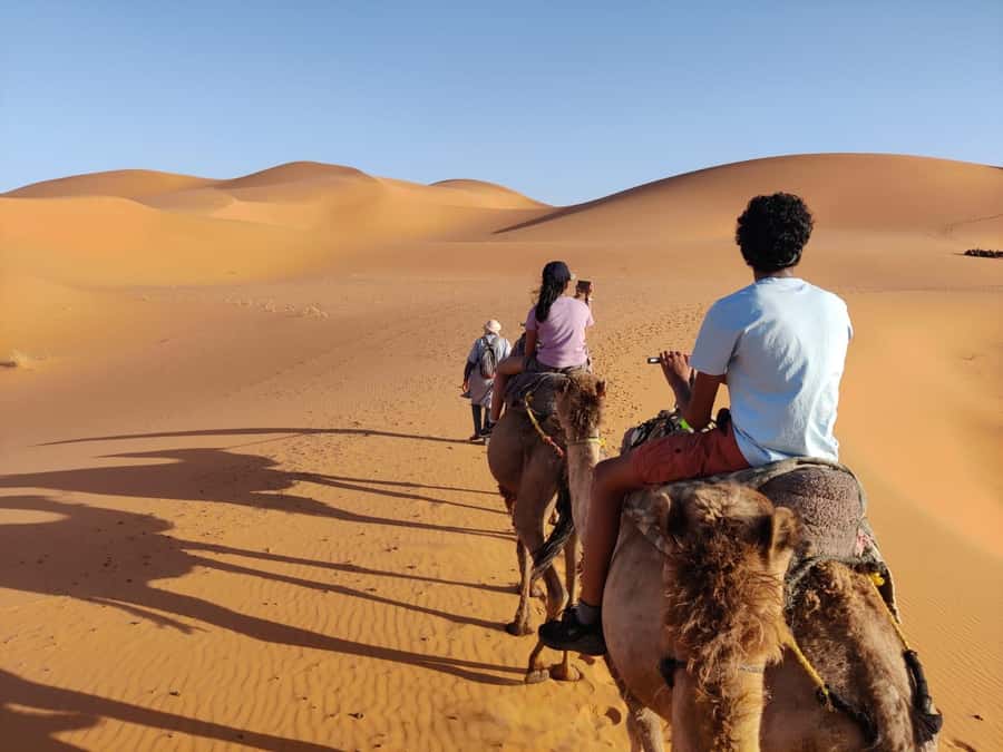From Fes: 3 Day Magical Desert Camel Trek To Marrakech - Day one: Fes, Ifrane, Azrou, and the Middle Atlas