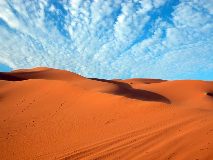 From Fes: 3-Days 2-Nights Desert Tour to Marrakech - Crossing the High Atlas to Marrakech
