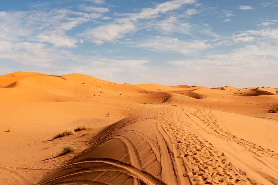 From Fes: 3-Days 2-Nights Desert Tour to Marrakech - Day one: Ifrane, Midelt, and the Ziz Valley
