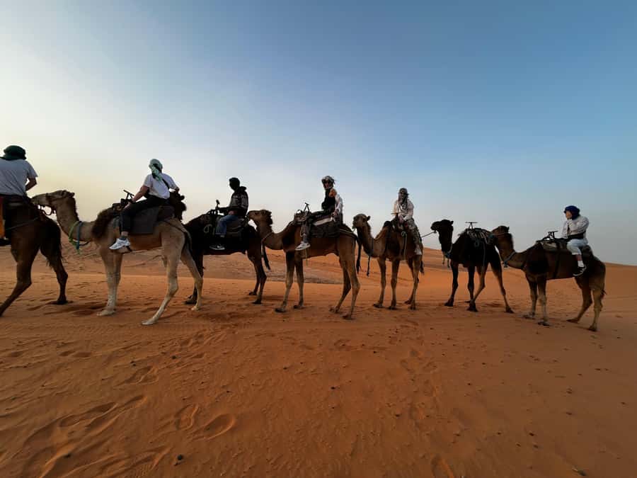 From Fes: 3 Days and 2 Nights Desert Trip to Marrakech - From Fes through Ifrane and the cedar forest