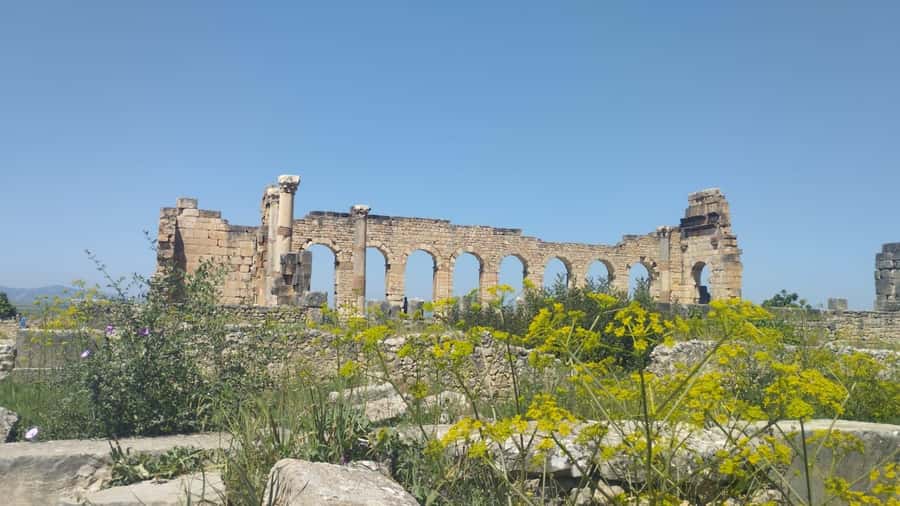 From Fes: Meknes Volubilis and Moulay Idriss Day Trip - How the transport shapes the day