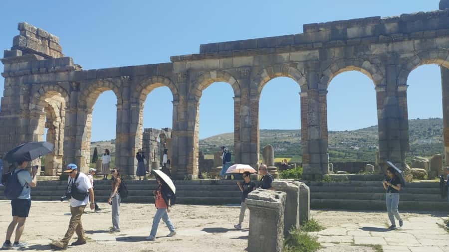 From Fes: Meknes Volubilis and Moulay Idriss Day Trip - Why a guide can be worth the extra cost