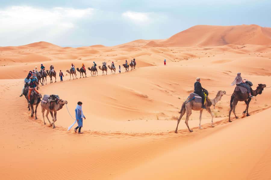From Fes To Marrakech: 2-Days with Luxury Camp, Desert Tour - From Fès to Ifrane and the cedar forests