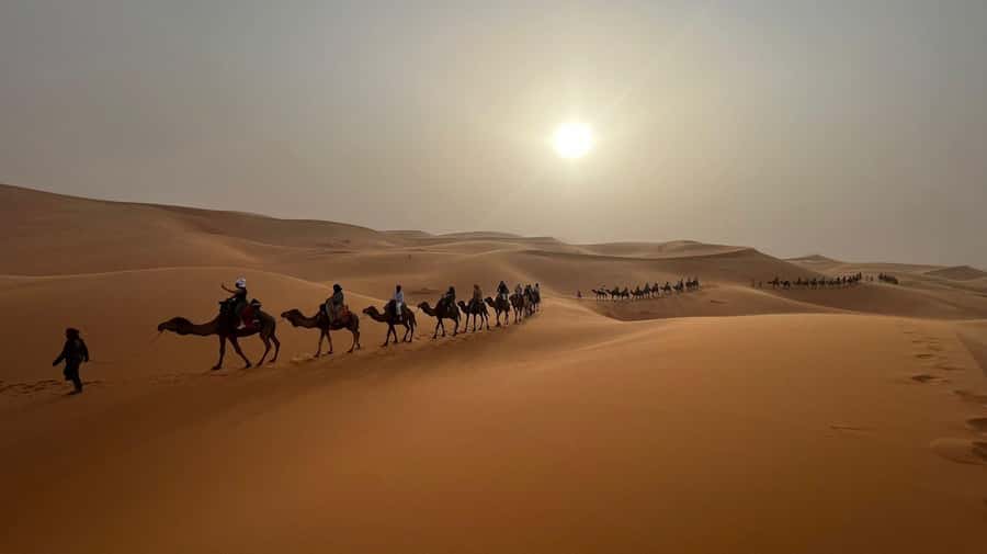 From Fes to Marrakech: 3-Day Sahara Desert Discovery Tour - Who should book this Morocco route