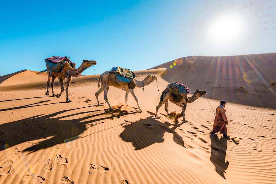 From Fes to Marrakech: 3-Day Sahara Desert Discovery Tour - Why this three-day crossing works