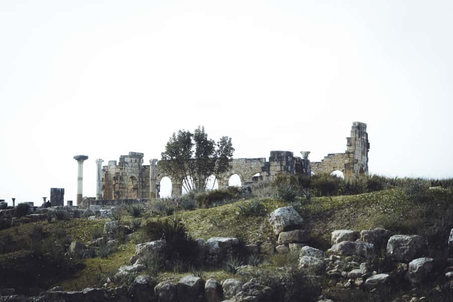 From Fes: Volubilis, Moulay Idriss and Meknes Full-Day Trip - Why Volubilis makes the day worthwhile