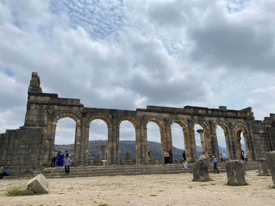From Fes: Volubilis, Moulay Idriss, & Meknes Full-Day Trip - Key points to know before you book