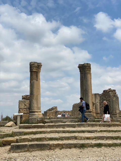 From Fes: Volubilis, Moulay Idriss, & Meknes Full-Day Trip - Who should book this experience?