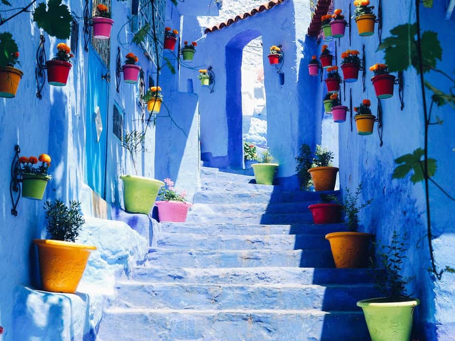 From Fez: Day Tour to the Blue Town of Chefchaouen - Why Chefchaouen works as a day trip from Fez