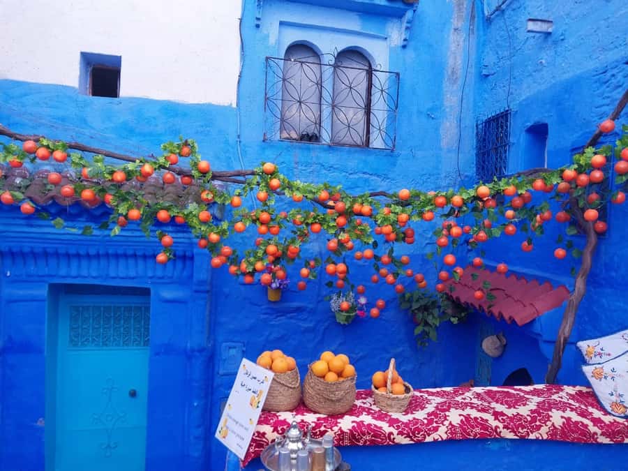 From Fez: Day Tour to the Blue Town of Chefchaouen - The Kasbah Museum and Ras Elma
