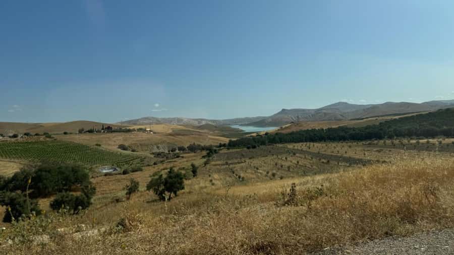 From Fez: Meknes, Volubilis and Moulay Idriss Day Trip - What to bring and how to prepare