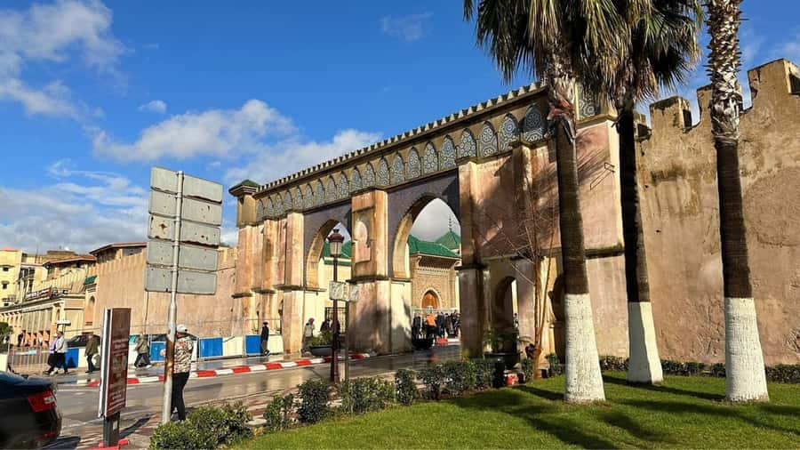 From Fez: Meknes, Volubilis and Moulay Idriss Day Trip - Who should book this day trip