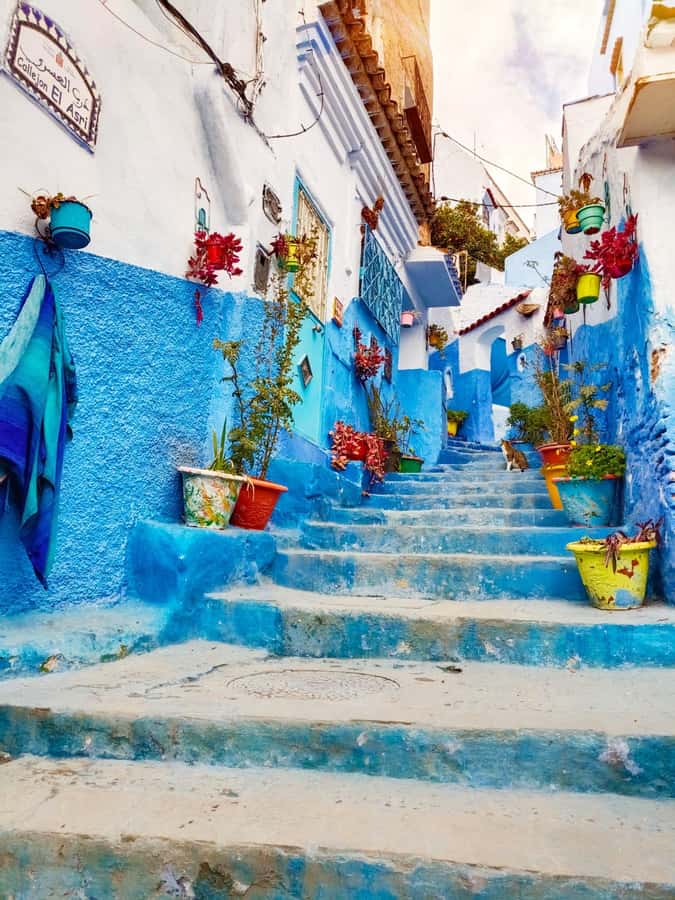 From Fez : Memorable Day Trip to Chefchaouen the Blue City - Chefchaouen for four hours, not a full overnight stay