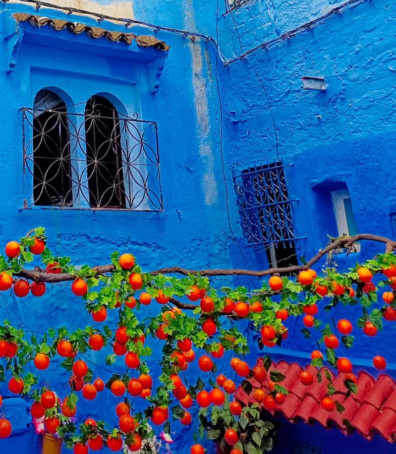 From Fez : Memorable Day Trip to Chefchaouen the Blue City - Motel Rif, a practical break at the mountain foothills