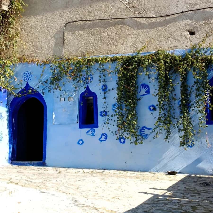 From Fez : Memorable Day Trip to Chefchaouen the Blue City - Meeting near Bab Boujloud or Recif