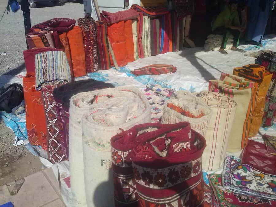 From Fez: Middle Atlas Day Trip with Ifrane National Park - Why this Fez day trip works so well