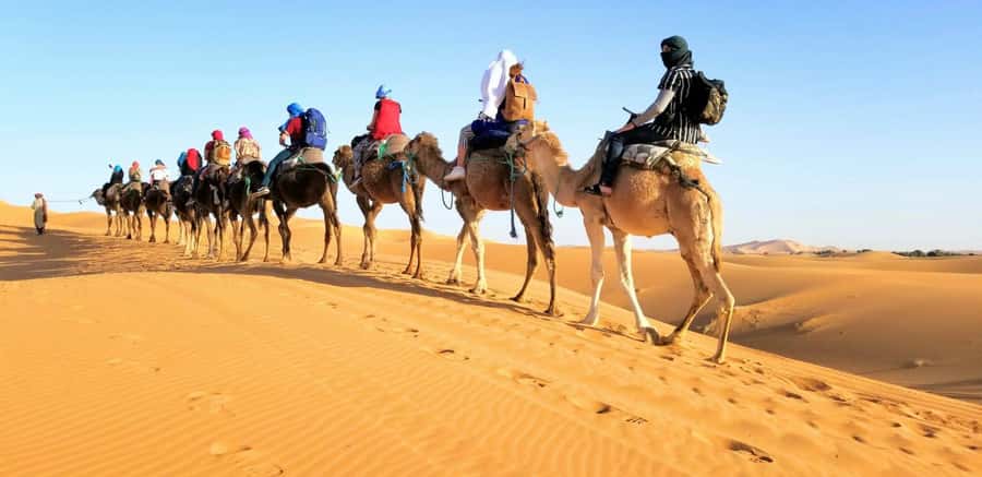 From Fez: Round-Trip Overnight Merzouga Desert Tour - The long road from Fez to the Sahara