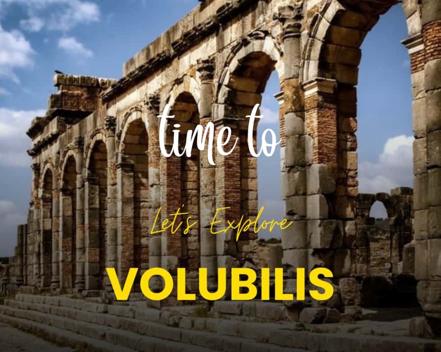 From Fez: Volubilis Moulay Idriss & Meknes Full-Day Trip - Why Volubilis makes this trip worth your time