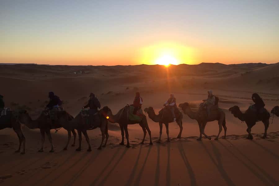 From Marrakech: 2-Day Sahara Tour to Zagora & Ait Ben Haddou - The Draa Valley and the road to Zagora