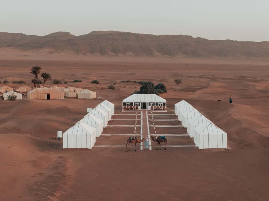 From Marrakech: 2-Day Zagora Desert Camp Trip - A long road from Marrakech to the Zagora dunes