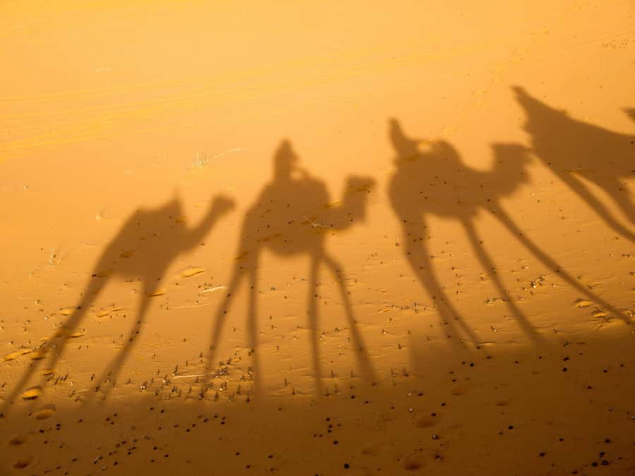 From Marrakech: 2-Day Zagora Desert Camp Trip - Guides, group size, and the human factor