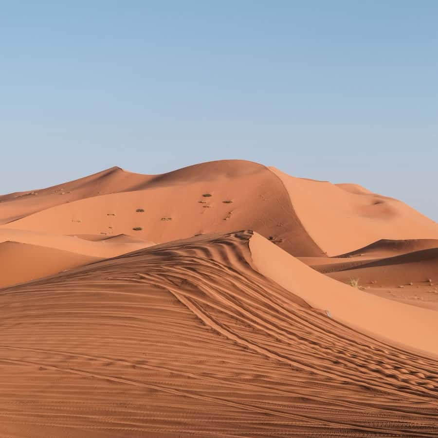 From Marrakech: 3 Day Round Trip To Merzouga Desert & Camel - Todra Gorge and the green ribbon of the oasis