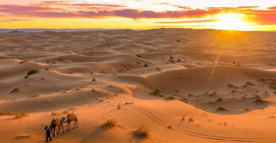 From Marrakech: 3 Days Desert Tour To Merzouga Luxury Camp - The guides and drivers can shape the whole trip