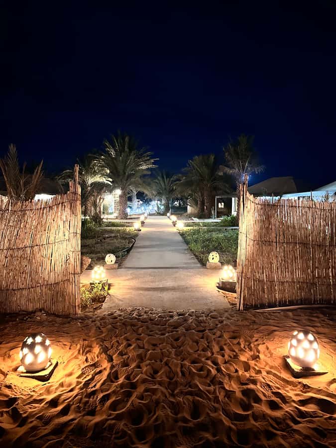 From Marrakech: 4-Day/3-Night Desert Adventure to Fes - Accommodation, meals, and what the price really covers