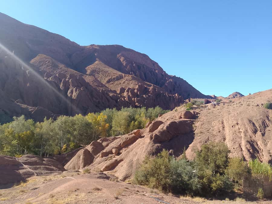 From Marrakech: 4-Day Morocco Sahara Desert Experience - Simple ways to make the four days better