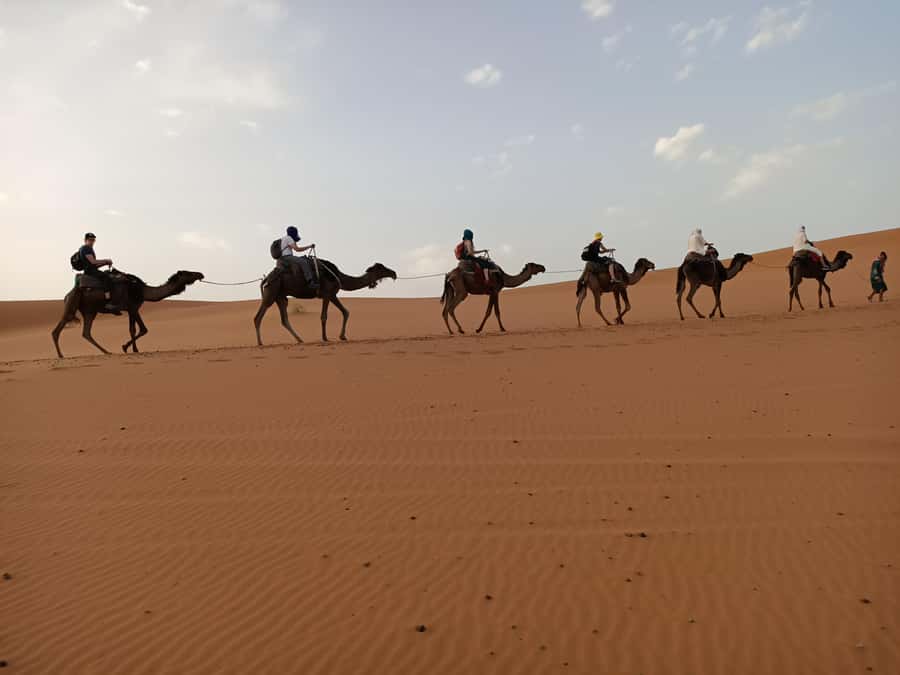 From Marrakech: 4-Day Morocco Sahara Desert Experience - Day two: Todra Gorges, palm shade, and the road to Merzouga