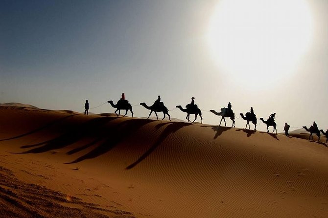 From Marrakech 4 Days Tour To Morocco Sahara Desert - Day 4: Back over the High Atlas to Marrakech