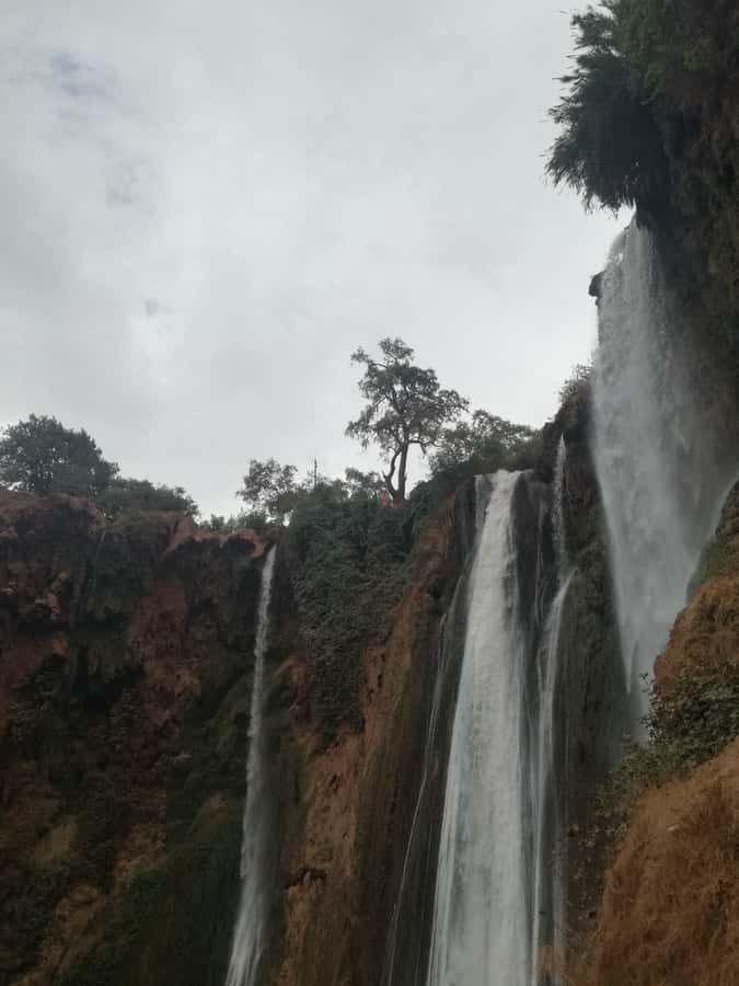 From Marrakech: A day Trip to Ouzoud waterfalls - Timing, cancellation, and what to bring
