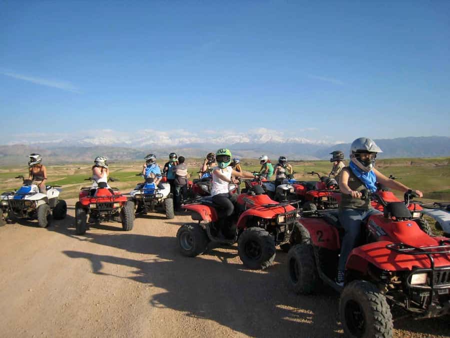 From Marrakech: Adventure Quad Ride in La Palmeraie - Two hours through palm groves and sandy tracks