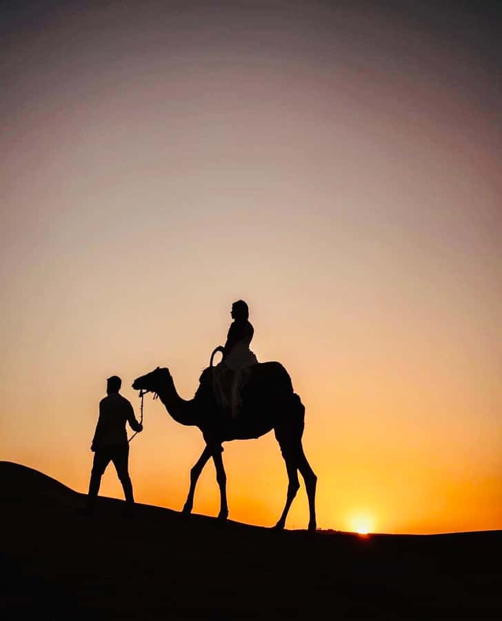 From Marrakech: Agafay Desert Dinner and Optional Camel Ride - What the $22 price really includes