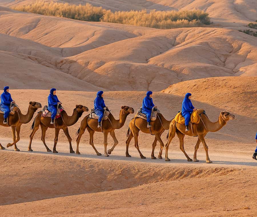 From Marrakech: Agafay Desert Dinner and Optional Camel Ride - Pickup from Marrakech and the road out