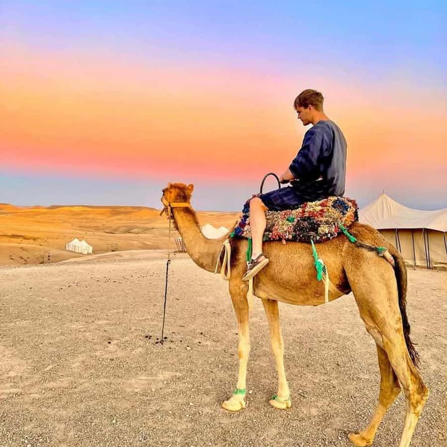 From Marrakech: Agafay Desert Dinner with Quad & Camel Ride - A pause near Lalla Takerkoust