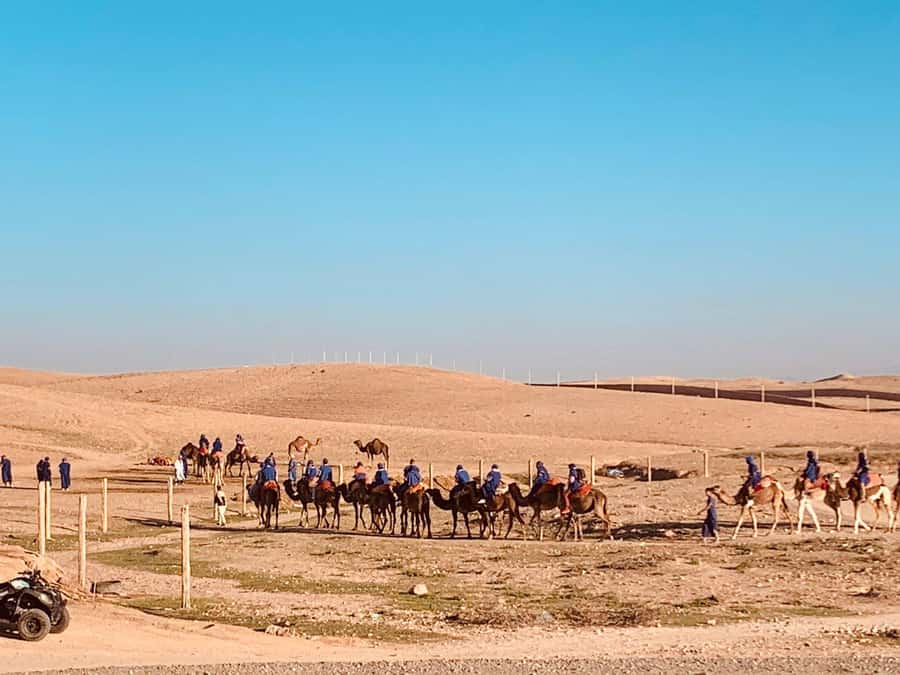 From Marrakech: Agafay Desert Sunset, Camel Ride, and Dinner - Why Agafay works for a one-evening desert trip