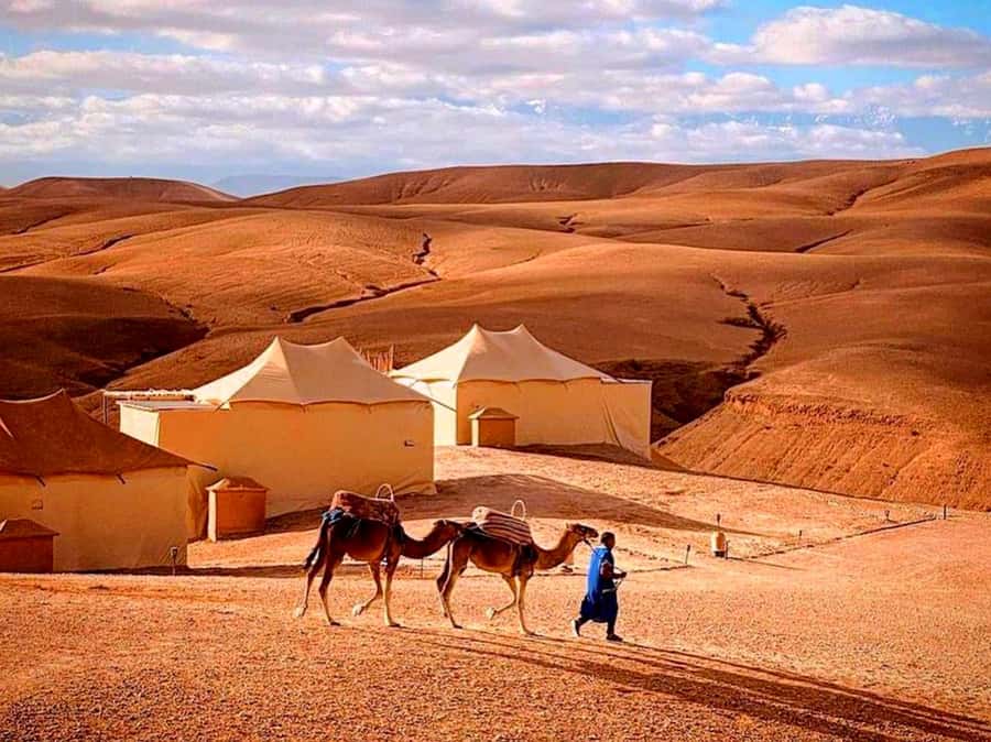 From Marrakech : Agafay Desert Sunset Dinner with Camel Ride - Timing, comfort, and practical planning