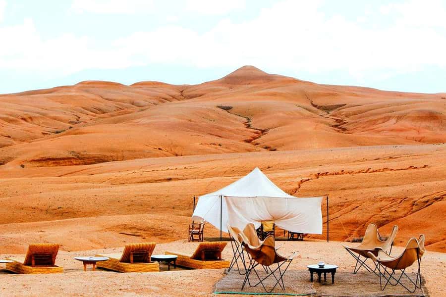 From Marrakech : Agafay Desert Sunset Dinner with Camel Ride - The guide can shape the whole experience