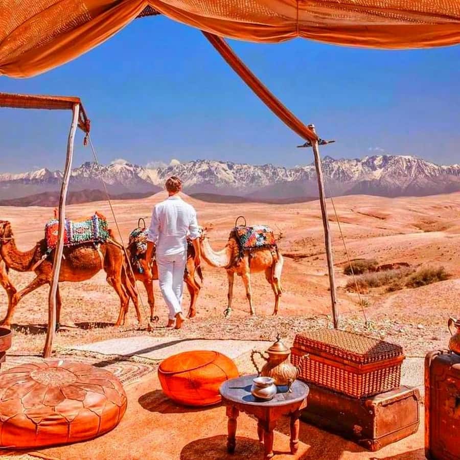 From Marrakech: Agafay Desert Sunset Dinner with Live Show - Key points to know before you go
