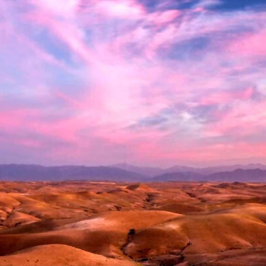From Marrakech: Agafay Desert Sunset Dinner with Live Show - Finding the right sunset viewpoint